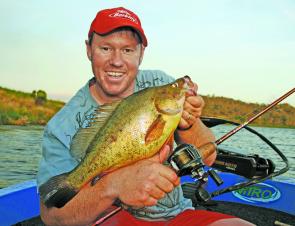 Golden perch will still be taking lures this month until water temperatures begin to fall low towards the end of winter.