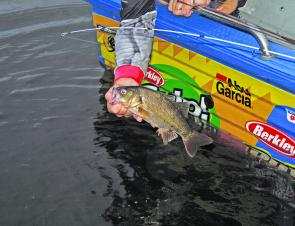 Smaller bass have been common at many of the lakes. Winter should see some bigger models come out to play.
