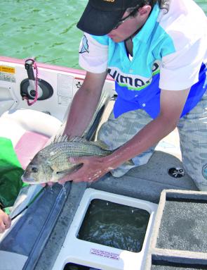 A quality livewell system will see your fish emerge as fresh as they went in.