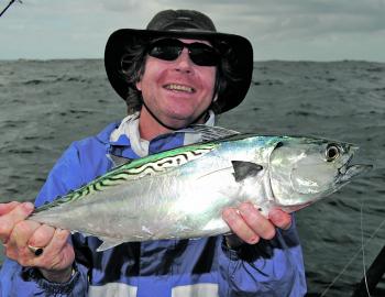 A few mack tuna will be around. These fish are great fun on light line and awesome bait.