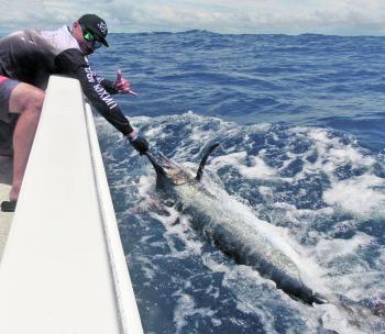 Mick Horn was over the moon with his first black marlin