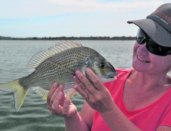 Why not admire a lovely Wallaga Lake bream.