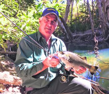 The author’s father had a great time fishing in small pools for chunky jungle perch like this one.