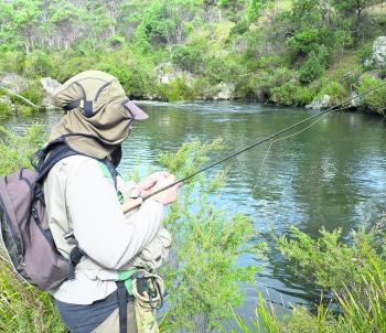 Which fly now? New England streams offer a lot of choices for fly anglers. 