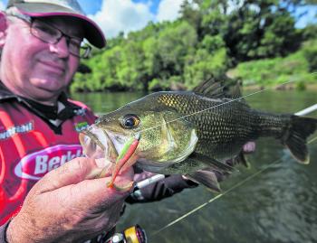 A Gulp 3” Nemesis will more often than not pull the bass from deep water or weed edges during daylight hours.