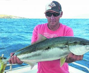 This is the sort of kingfish available at Montague Island at the minute. 
