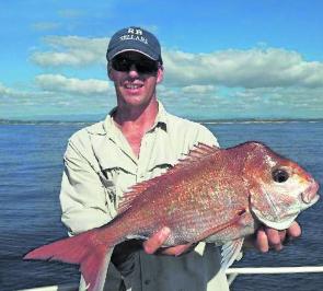 Cracking snapper like this 4kg fish have been readily available on most local reefs.