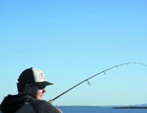 Hooked up and losing line quickly on one of Moreton Bay’s islands.