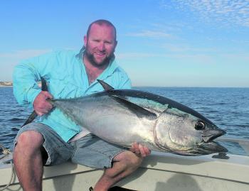 Big inshore stickbait-eating bluefin have been a summer highlight this season.