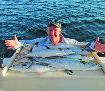 A lovely mixed bag of spotted and school mackerel.
