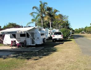 Shady camping areas are a feature of this neat park with its waterside aspect. 
