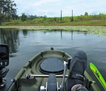 Picking pockets in the lilies with spinnerbaits and Jig Spinner rigged plastics.