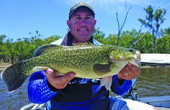 Adam Krautz has been whacking the Coolmunda cod by fishing big spinnerbaits to the timbered areas.
