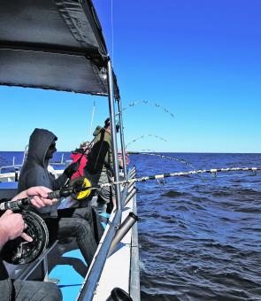 The crew of the Pirate loads up on pearlies on another drop wide of Evans Head.