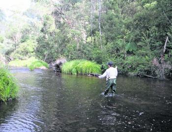Where the end of the run meets the slow running pool, trout are usually lurking.