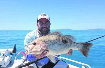 Working large soft plastic shads over inshore rocks and reef is a great way to catch golden snapper like this solid fish Jock Craig recently boated.