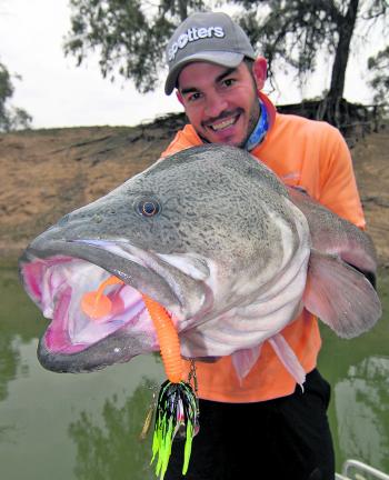 Dean Norbiato with a nice Murray cod trolled on the new Bassman 4x4 spinnerbaits.
