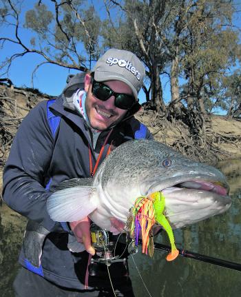 Dean killing it again with this lovely example of a river dwelling Murray cod.