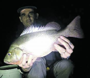 Chris Bulter with a cracker red dog caught on live bait around one of the bridge pillions. 
