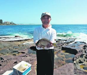 This angler caught a nice tarwhine while fishing off the rocks at Cronulla.