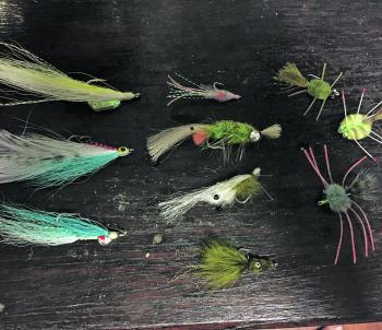 A small selection of flies including small shrimp, crab and baitfish patterns.