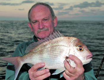 There are plenty of pan-sized snapper over the inshore reefs this month.