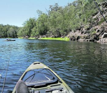 Brogo can be fished from a variety of kayaks and the scenery is beautiful.
