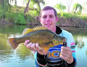 The author with a beautifully coloured golden perch taken on a Jackall TN60 cast around the trees.