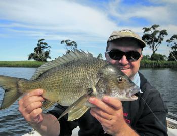 Bream are a common catch for all anglers. Flicking the snags is where you’ll find them schooled up.