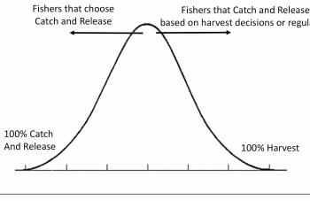 Those who practice catch and release as a conscious act are to the left, those that practice it as a legal requirement to the right.