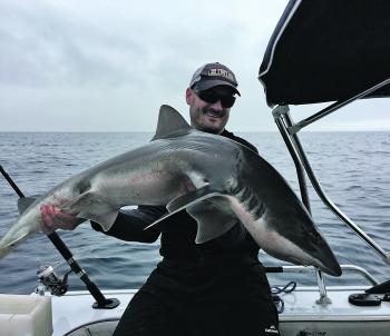 Andrew Cox with a very solid gummy shark from a recent offshore session. Expect the great fishing for gummies to continue through the winter, especially in the south of the bay.