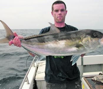Kingfish are abundant at the moment at the island and can be caught on knife jigs and plastics or stickbaits.