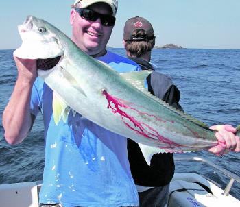 Kingfish have been putting up a strong fight and are a little harder to land, but worth the effort.