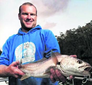 Dan Hoey of Salty Dog Charters with one of many of the school mulloway inhabiting the Glenelg River.