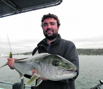 Bryce with a lovely 92cm Pittwater king that couldn’t resist a live squid.