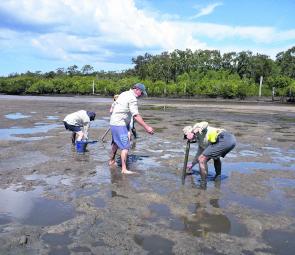 It might be a bit muddy, but the middle of muddy shallow estuaries can be one of the best yabby spots there is.