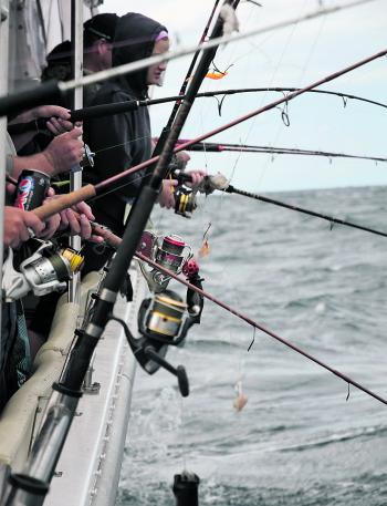 Things can become a little hectic at times when bottom fishing aboard a crowded charter boat! Tangles happen.