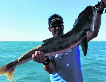 Pete Kyvetos with a massive cobia caught offshore during a delightful weather window.