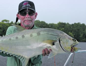 Visiting client Doug Coppernoll from the US enjoyed some good queenfish action on the Daintree River.