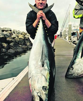 Topcat Charters has been getting on top of the bluefin.