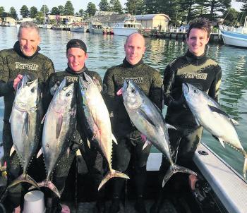 Shipwreck Coast and Southern Freedivers members are after successful day on the tuna.