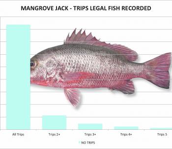 Overall mangrove jack caught per trip 2000-2015 Statewide (Suntag data).