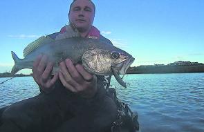 Scott Lovig holds a ripper Patterson River mulloway taken from his Hobie kayak early morning on a shallow diving 80mm minnow.