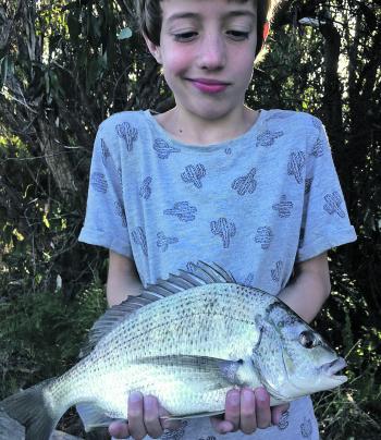 Hudson caught this ripper bream from the Anglesea River.