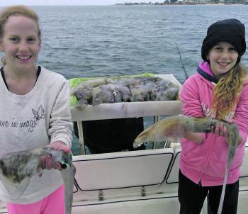 After a slow start and some colour changes, Laura and Amelia managed a great bag with some bigger models mixed in off Portarlington. There definitely seems to be plenty of squid around at the moment, both locally and down the southern end of the bay.