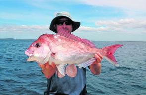 The deeper reefs are still producing, with snapper taking both baits and plastics.