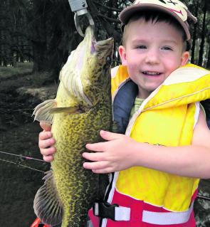Starting kids young is a great idea. Three year-old Harry Clarke fished with Dad in Canberra’s Lake Yerrabi and landed this fat little Murray cod.