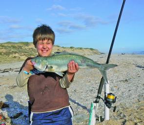 As we head toward the cooler months the Australian salmon fishing will go from strength to strength.