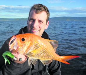 Andrew caught this nannygai in 65m on a plastic.