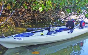 The difference with the Tarpon from other standard kayaks is that it has a long list of extra features.